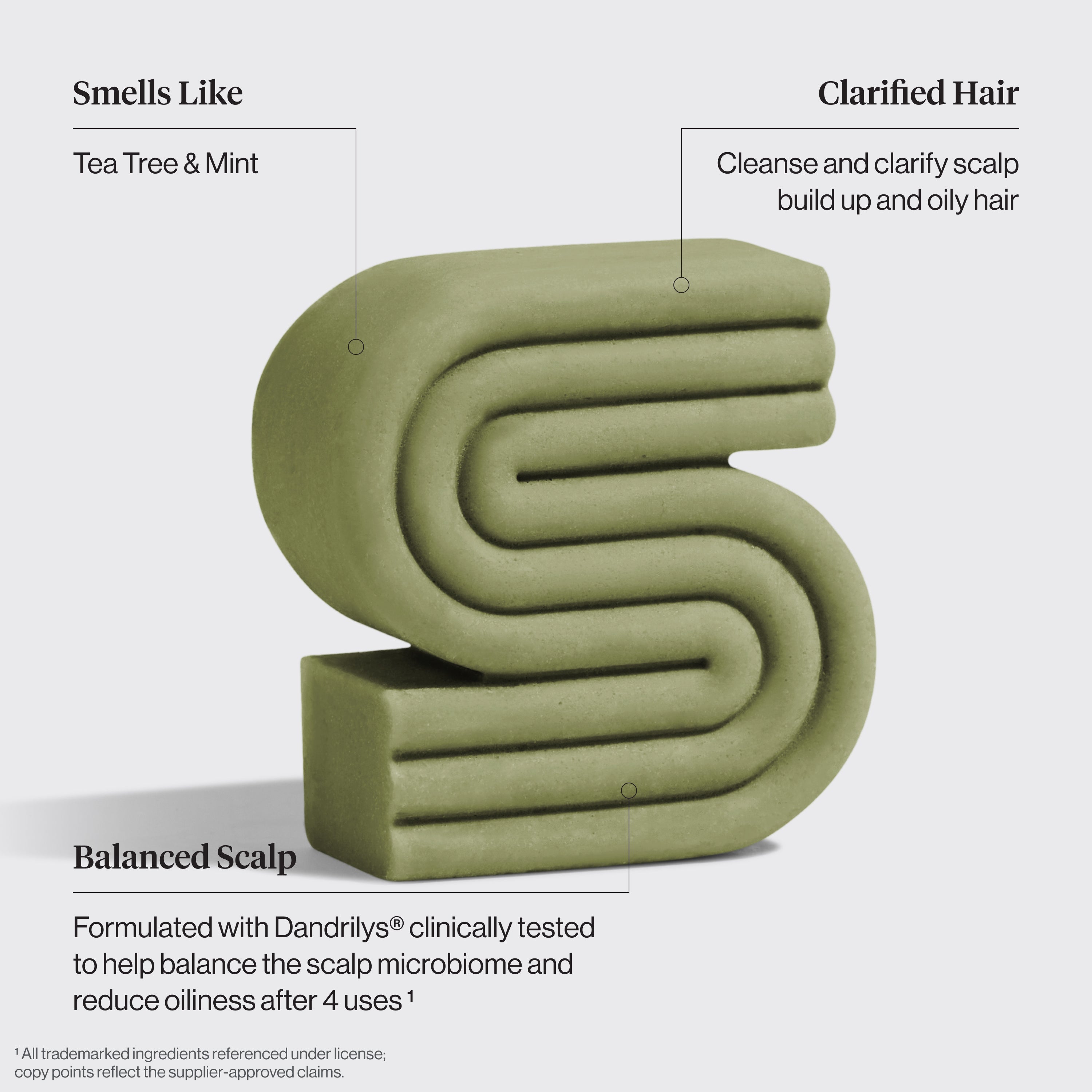 Tea Tree & Mint Clarifying Shampoo Bar