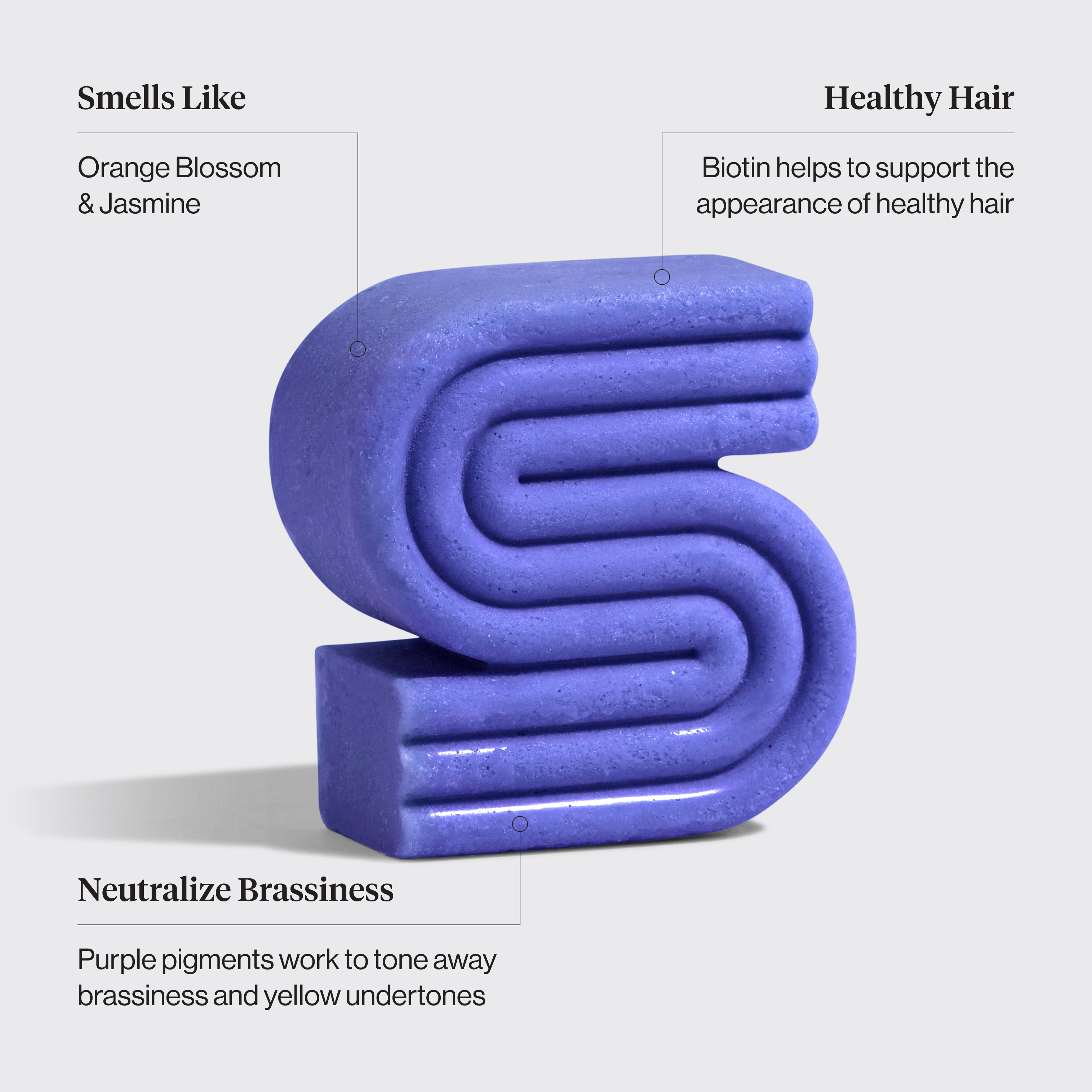 Purple Toning Shampoo & Conditioner Bar Combo for Color-Treated & Grey Hair