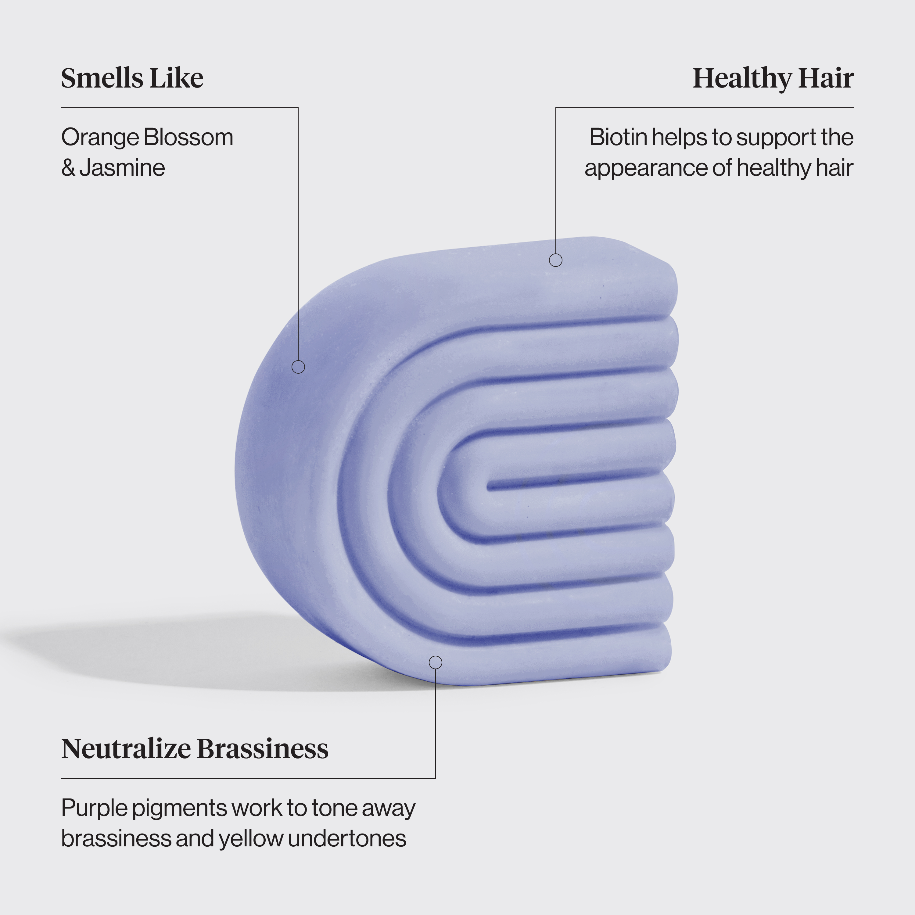 Purple Toning Shampoo & Conditioner Bar Combo for Color-Treated & Grey Hair